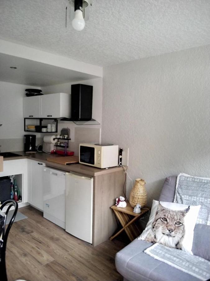 Apartamento Saint Lary Ski, Rando, Thermes, Balades Et Repos ! Exterior foto