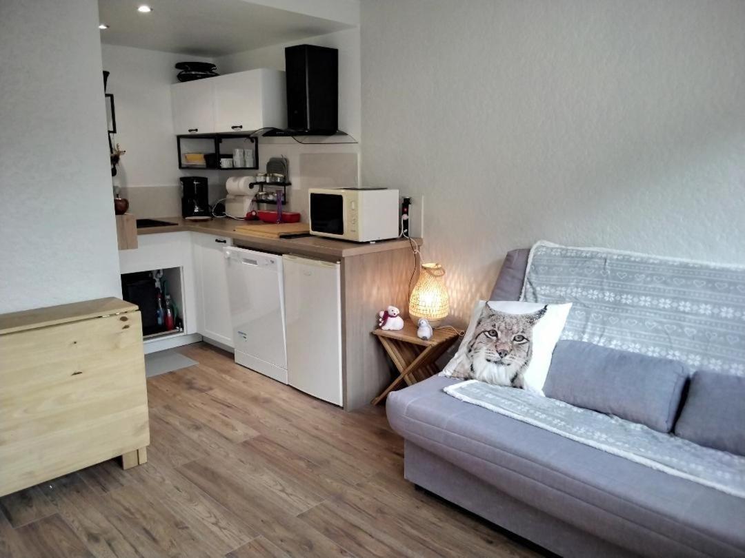 Apartamento Saint Lary Ski, Rando, Thermes, Balades Et Repos ! Exterior foto